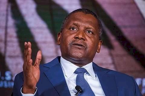 Dangote reacts to Bloomberg report, says ‘we’re not sole beneficiary of presidential export waiver